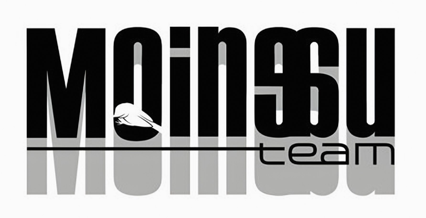 Le logo officiel du Moineau Team.